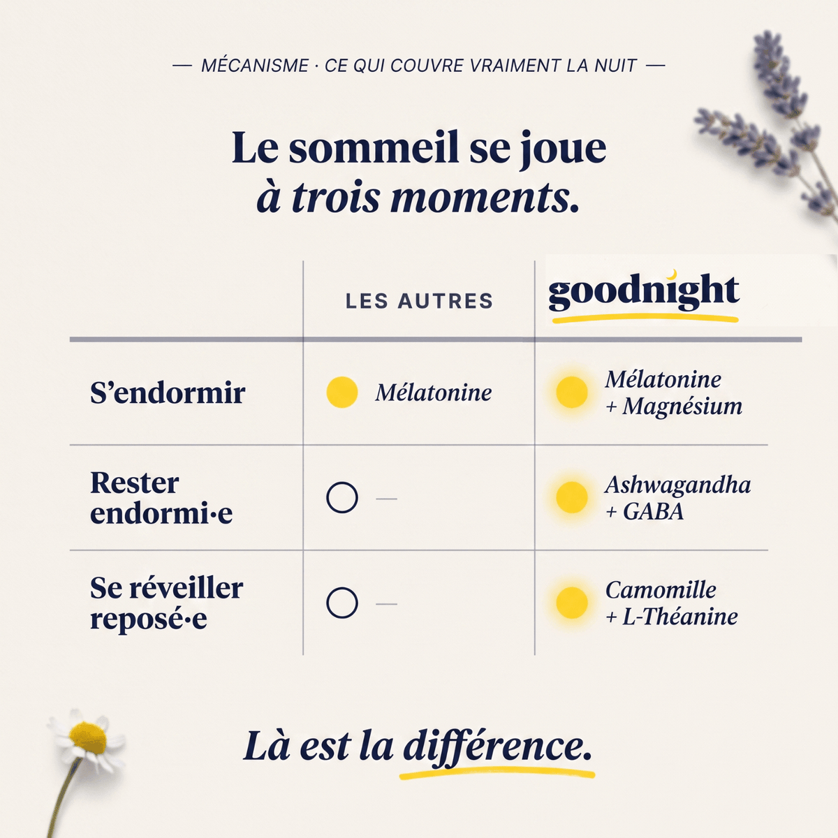 Goodnight NEW - Compléments alimentaire pour le sommeil - pour un sommeil réparateur - My Good Night